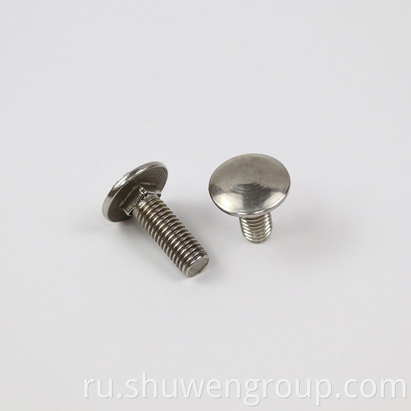 Carriage Bolt2 5